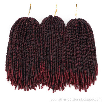 Nubian Twist Curly Crochet Hair Braid Synthetic Ombre Braiding Hair Spring Twist Crochet Braids Nubian Twist